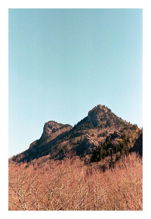 A mountain range with sparse trees and bare branches in the foreground is visible under a clear sky.