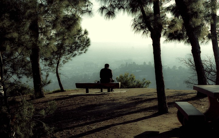 A man sits on a bench overlooking a hazy city, framed by trees.