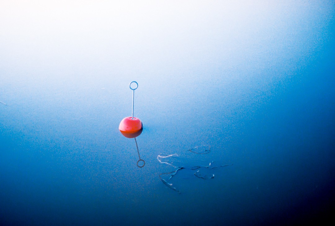 A red bobber floats on the surface of a dark blue lake at night.