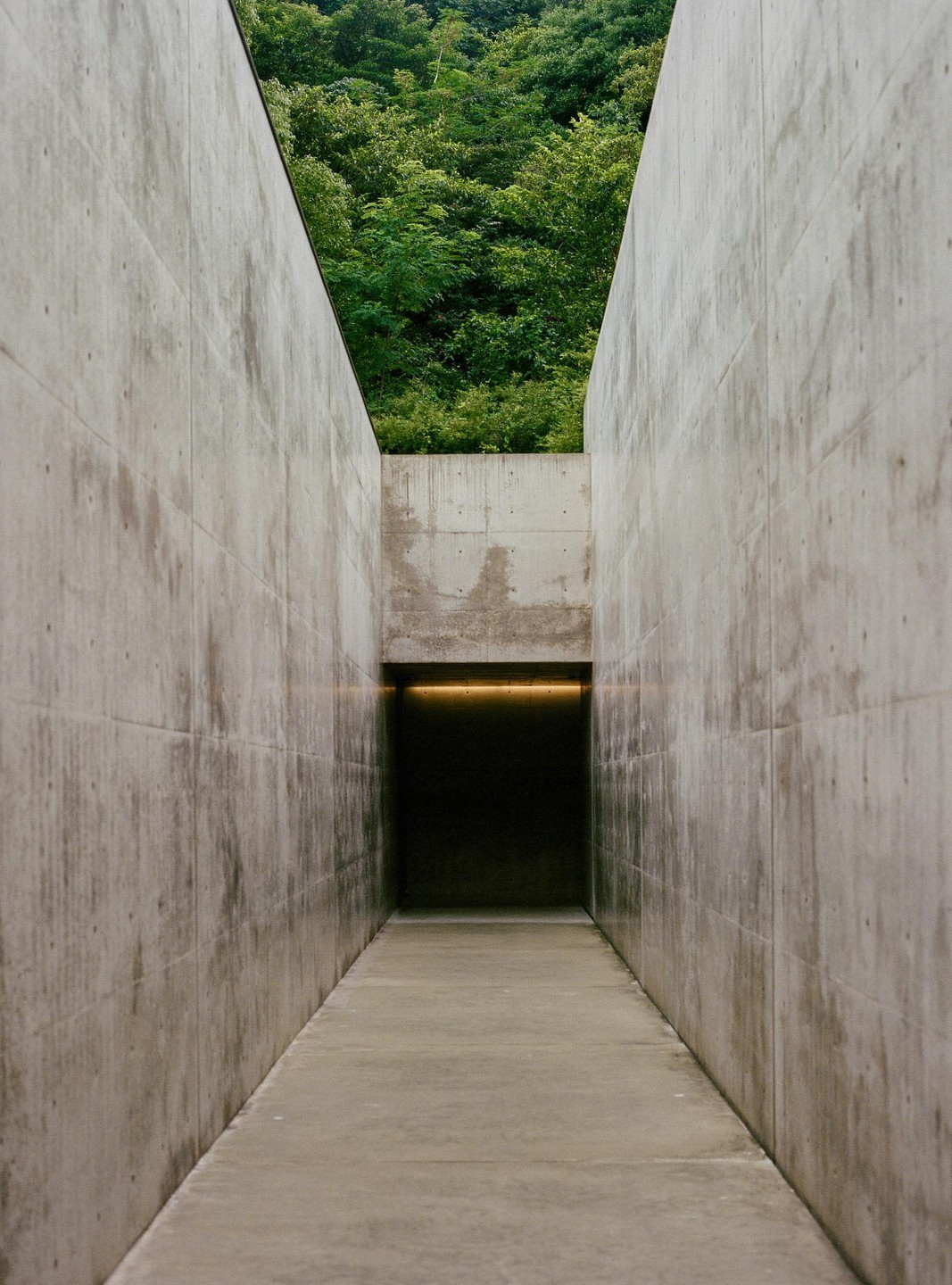A narrow concrete corridor leads to a dark opening with a strip of light above it, and green trees are visible above the corridor.