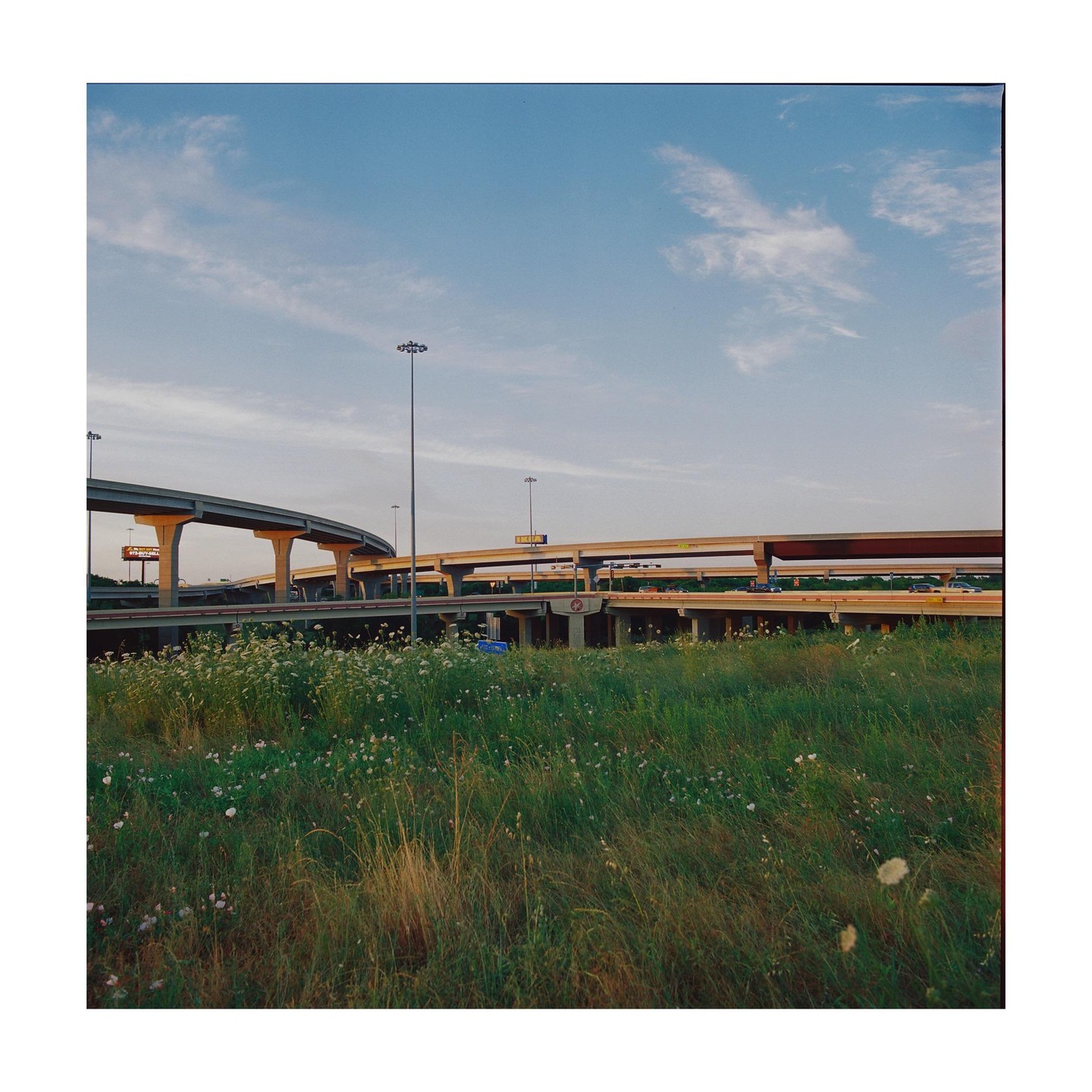 A grassy field with wildflowers sits in front of a complex highway overpass system under a blue sky.