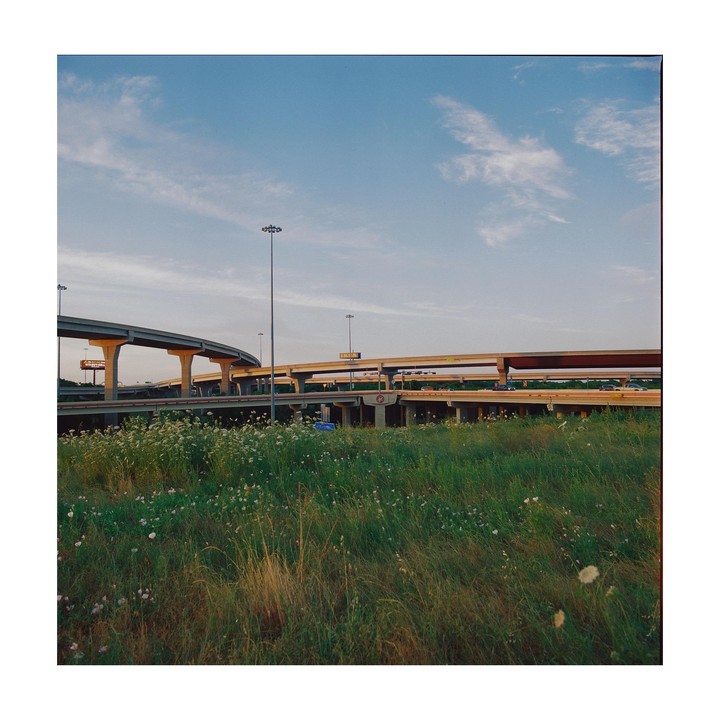A grassy field with wildflowers sits in front of a complex highway overpass system under a blue sky.