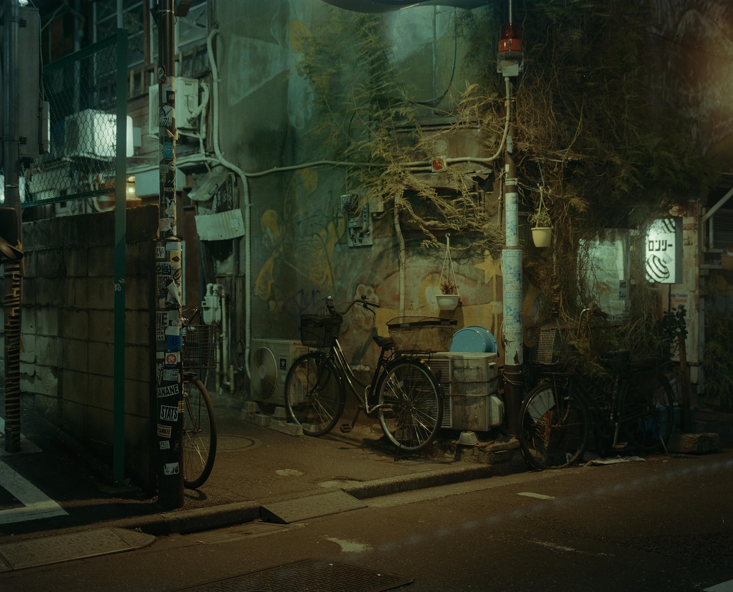 Three bicycles are parked on a narrow street next to a building covered in vines and graffiti at night.