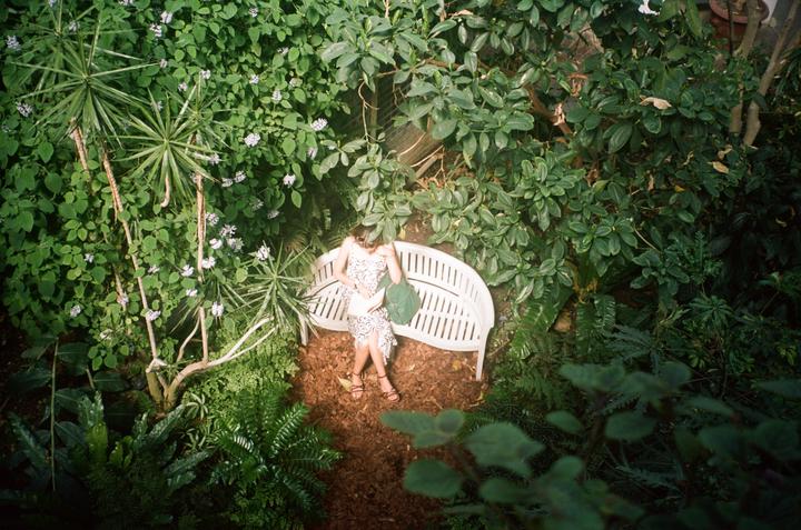 A woman sits on a white bench surrounded by lush green plants and reads a book.