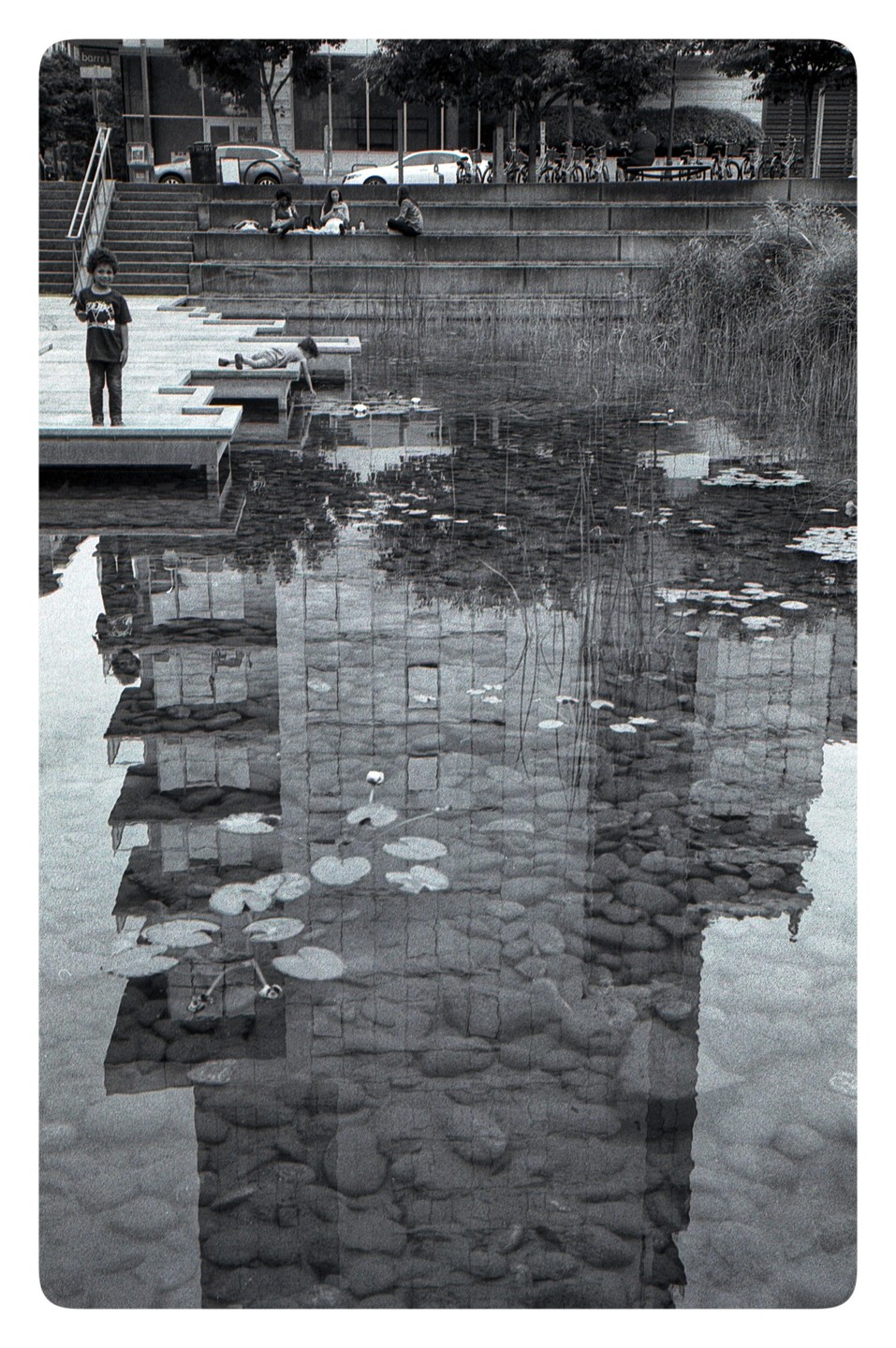 A boy stands on a dock next to a pond with lily pads and reflections of buildings, while other people sit on concrete steps in the background.