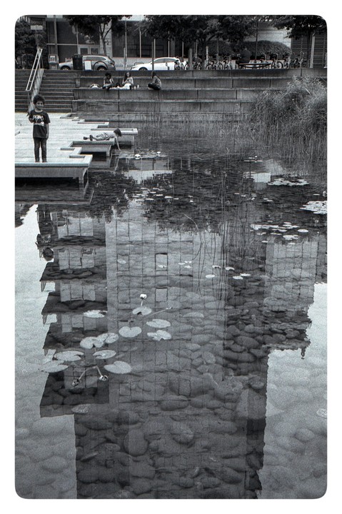 A boy stands on a dock next to a pond with lily pads and reflections of buildings, while other people sit on concrete steps in the background.