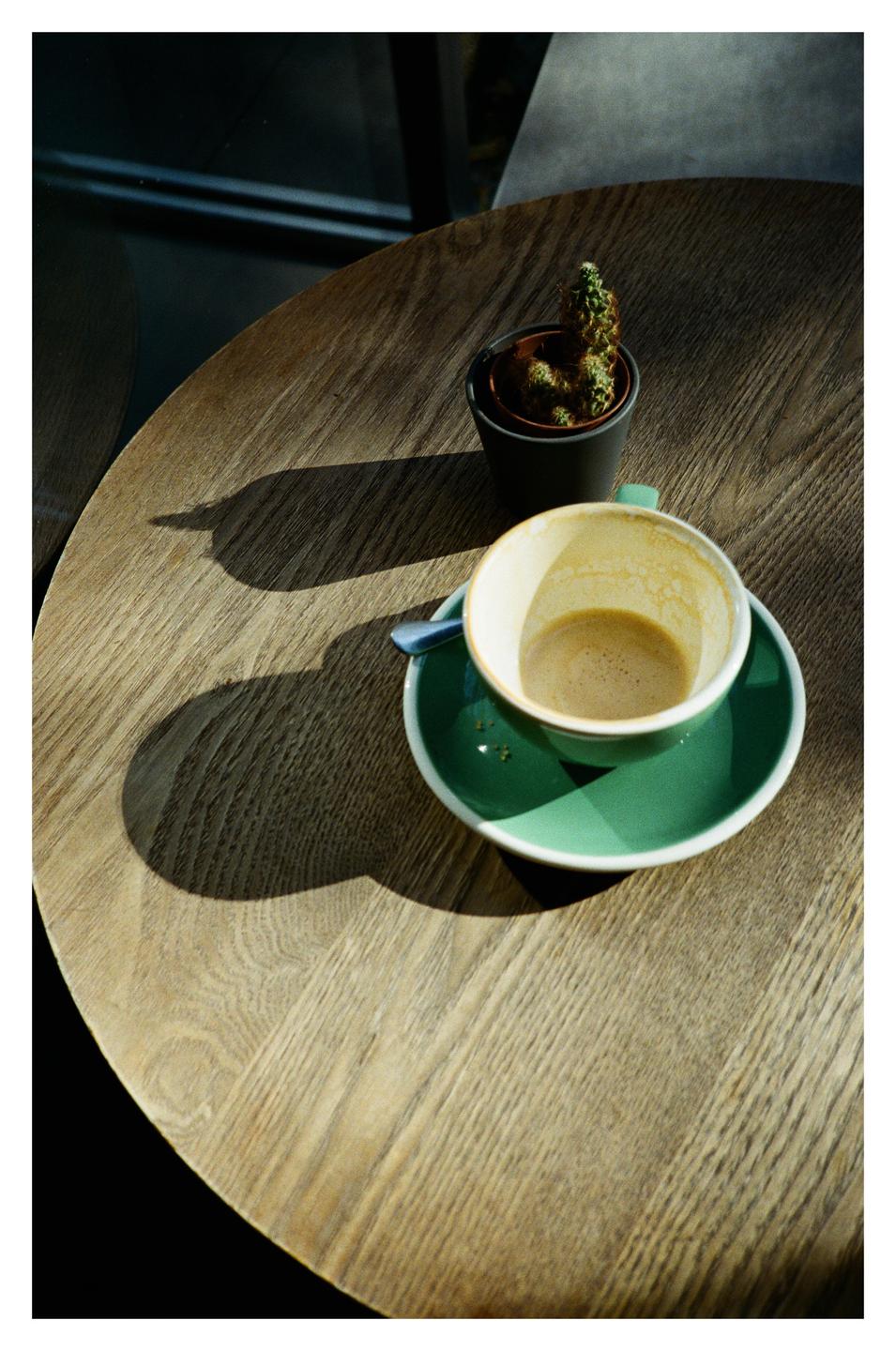 An empty coffee cup and a small potted cactus sit on a wooden table, illuminated by sunlight.