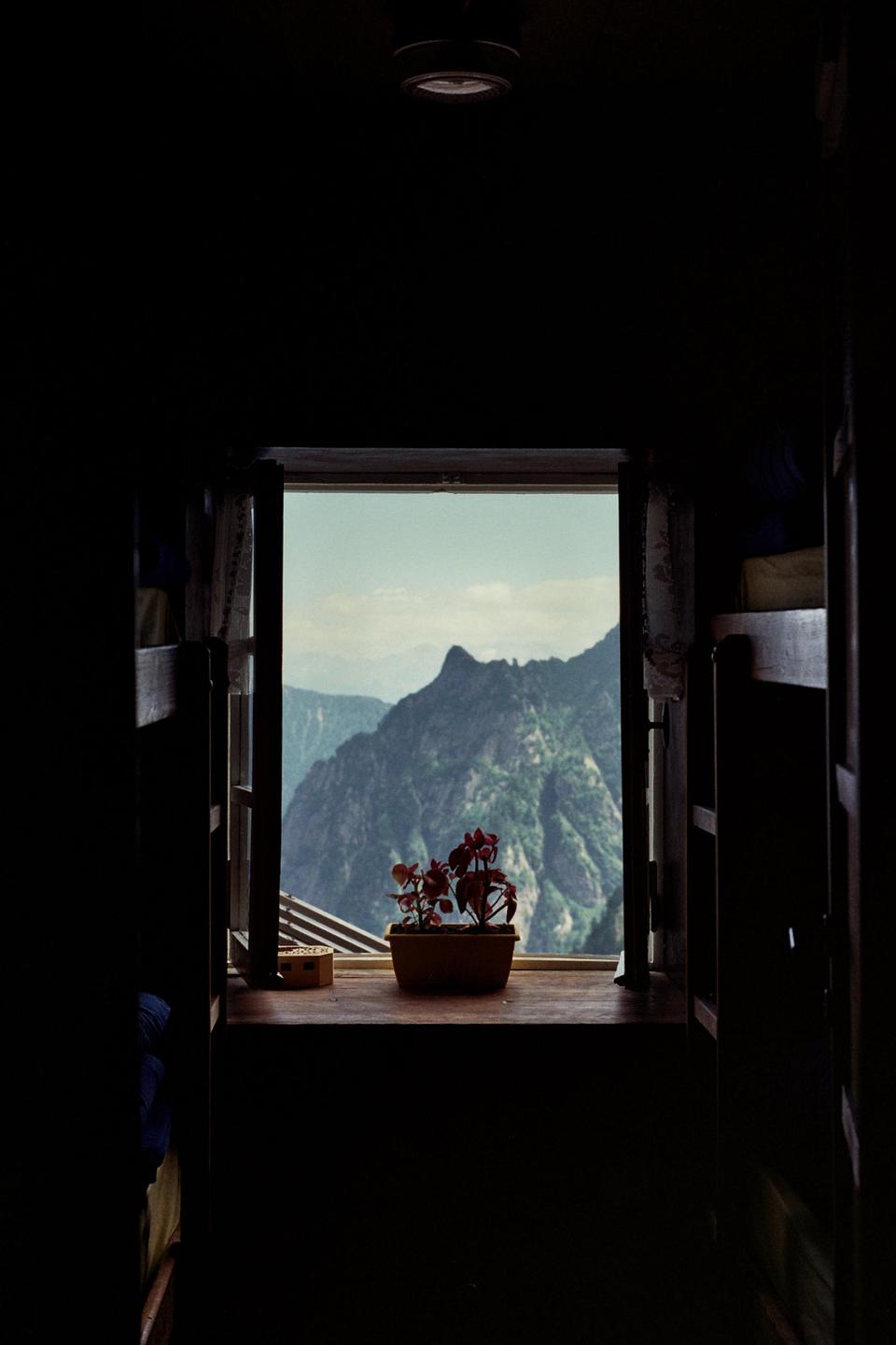 A potted plant sits on a windowsill overlooking a mountain range.