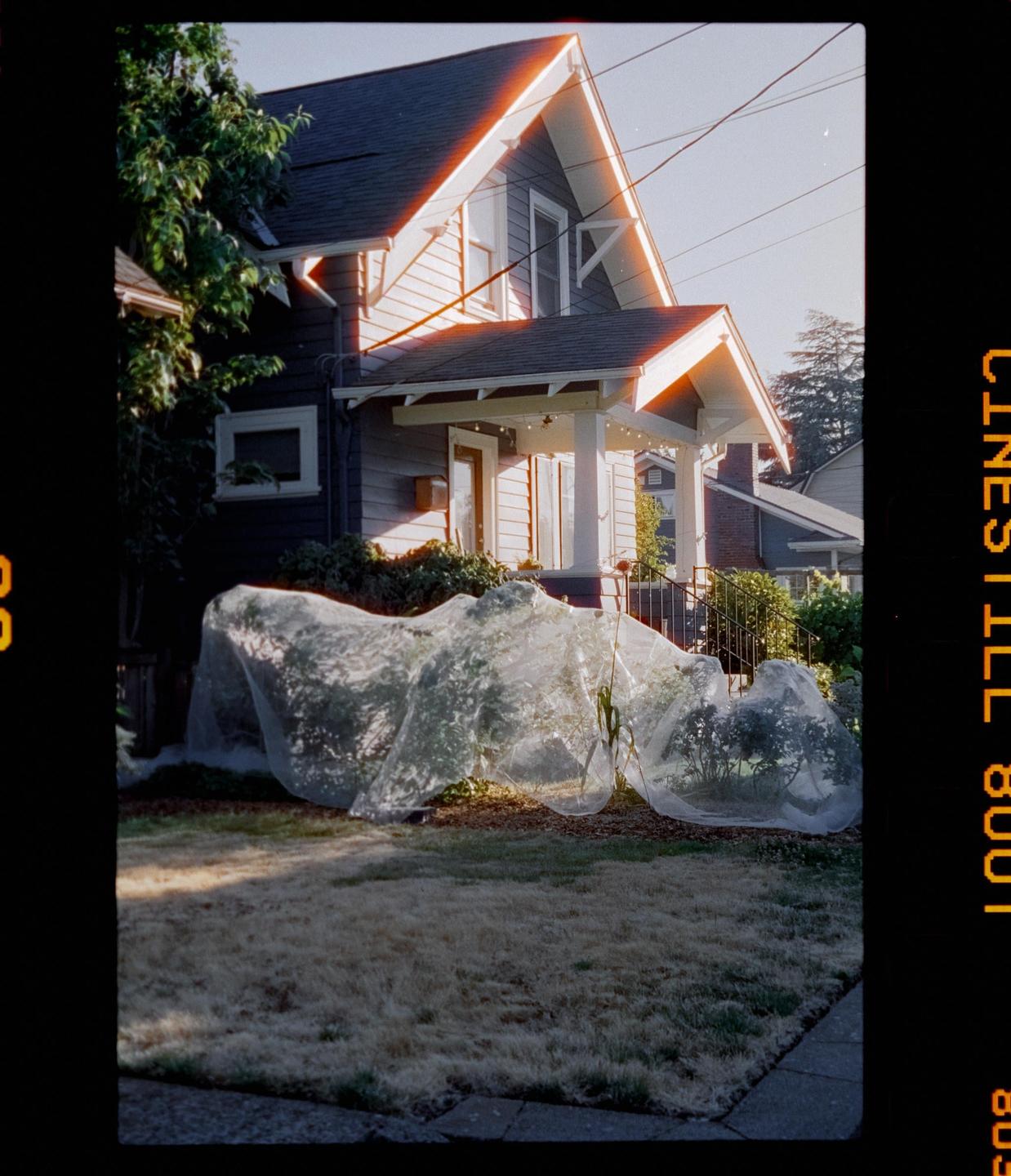 A house with a porch and plants covered in netting is shown from a low angle.
