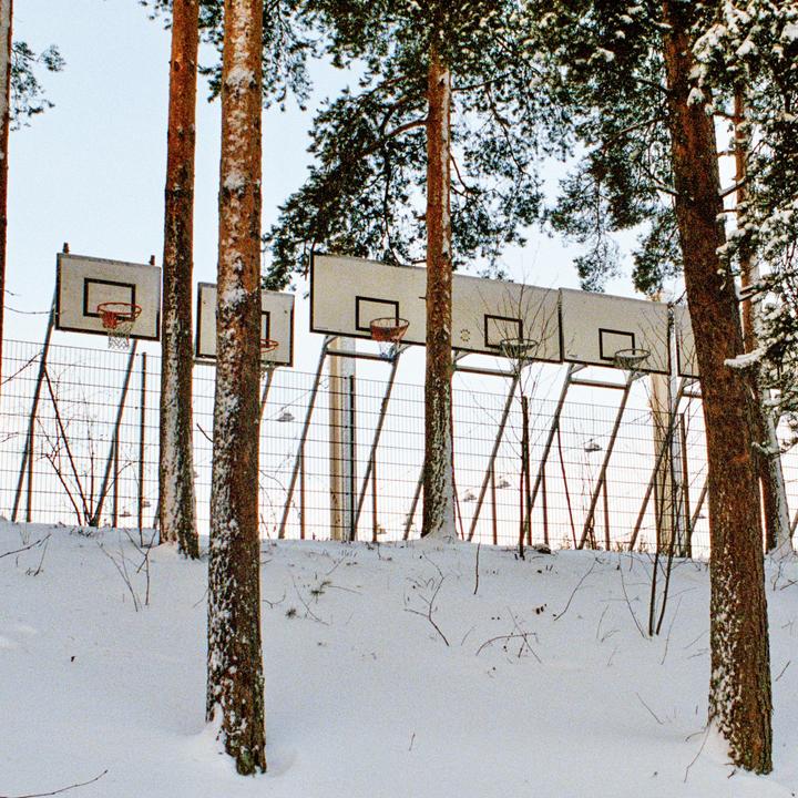 A row of basketball hoops is visible behind a snowy hill and several pine trees.