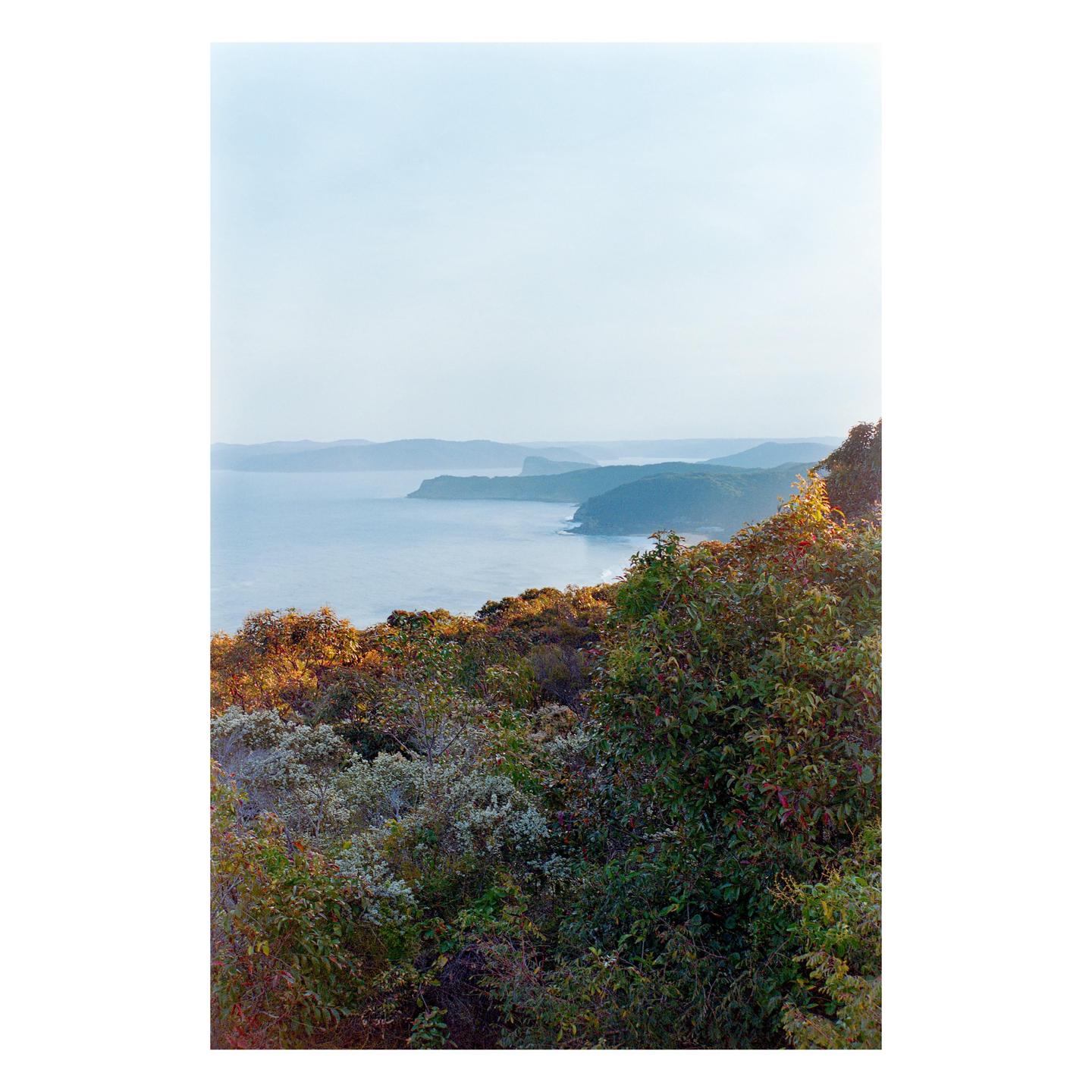 A wide shot shows a body of water with land in the distance and bushes in the foreground.