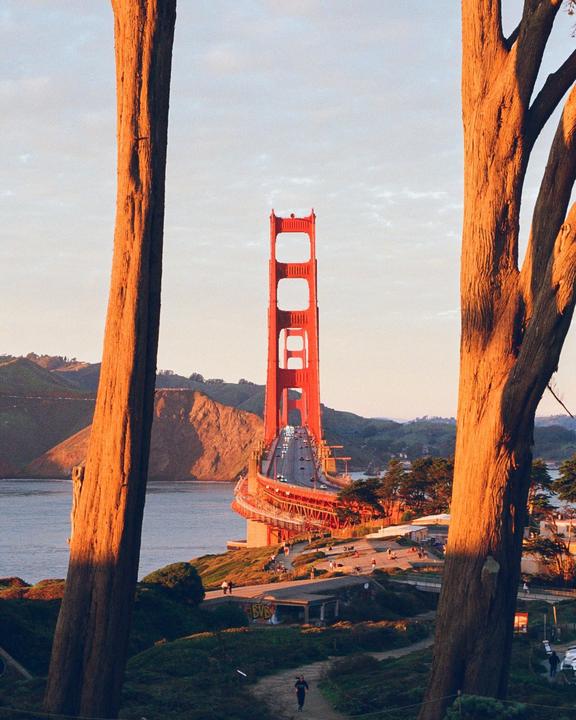 The Golden Gate Bridge is visible between two large tree trunks, with a person walking on a path in the foreground.