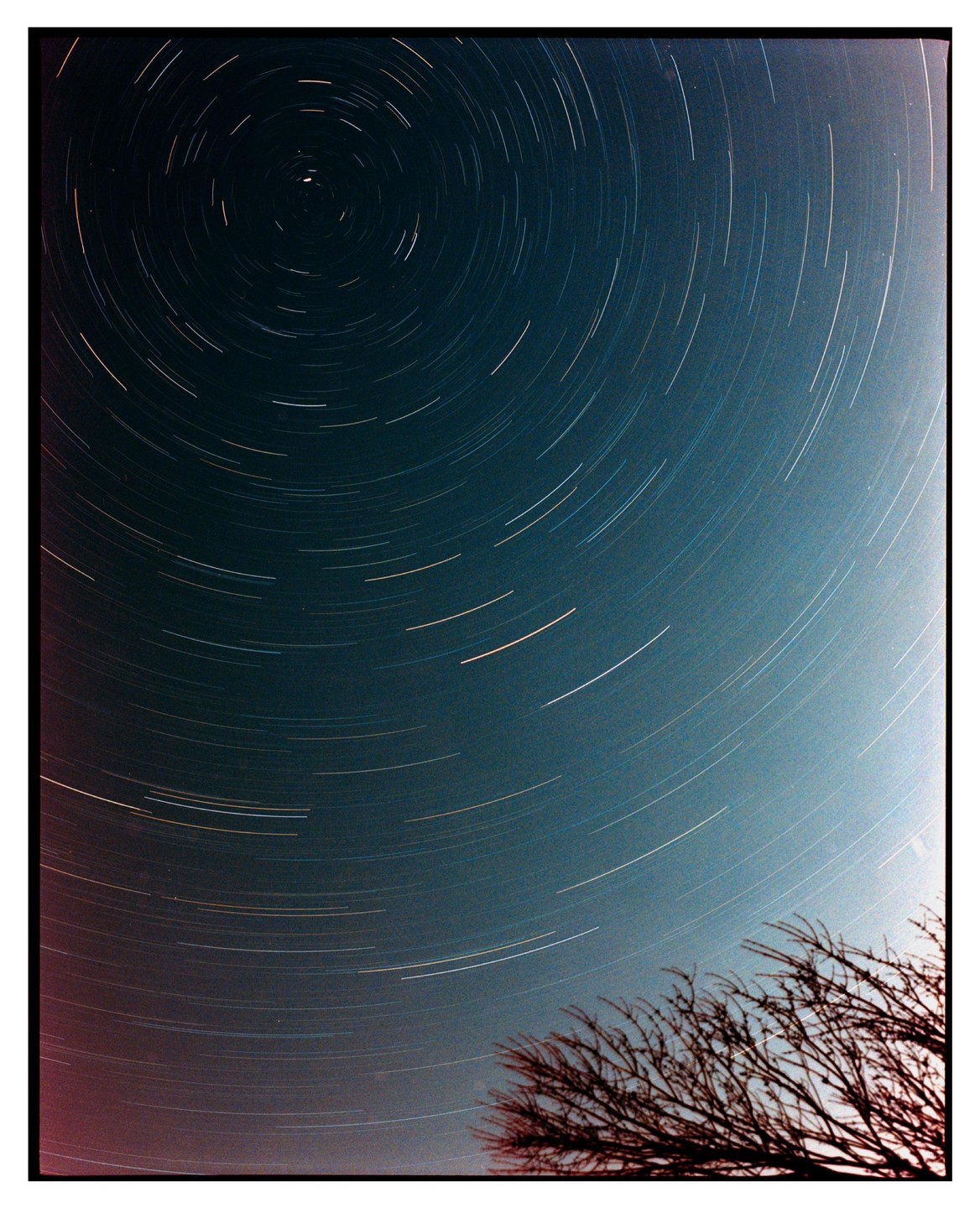 Star trails arc across the night sky above the silhouette of a tree.