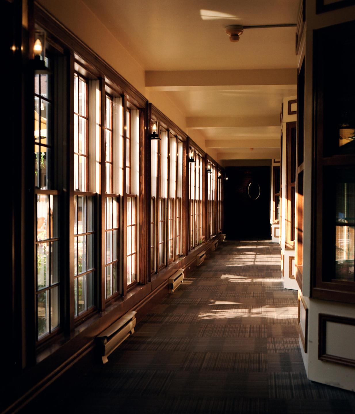 Sunlight streams through a long row of windows in a hallway with a patterned carpet.