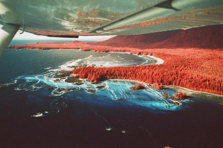 An aerial view shows a coastline with red trees and blue water, seen from under an airplane wing.