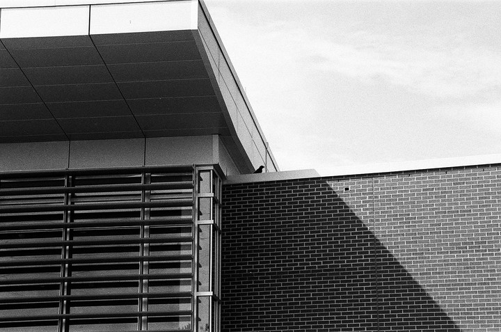 A bird sits on the edge of a modern college building with a brick wall and slatted windows, under a bright sky.