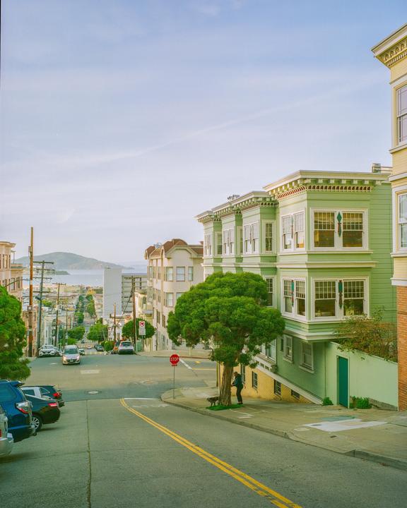 A person and a dog stand next to a tree on a sloped street with buildings and a body of water in the background.