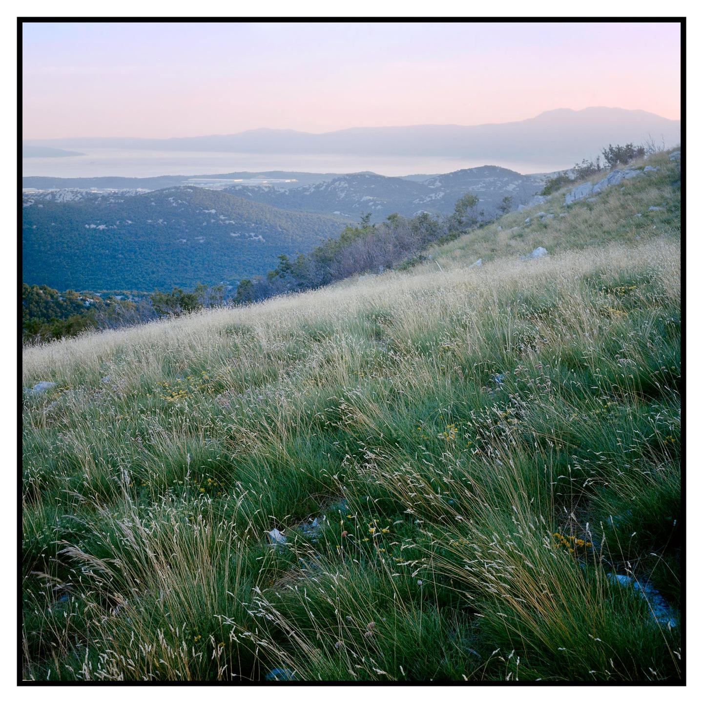 A hillside covered in tall grass overlooks a valley with mountains and a body of water under a pastel sky.