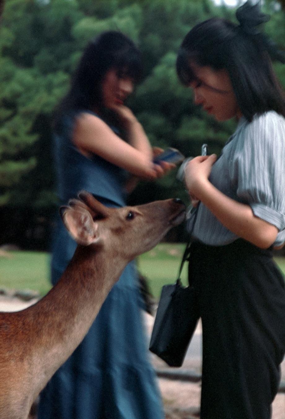 A deer approaches a woman in a park while another woman stands in the background.