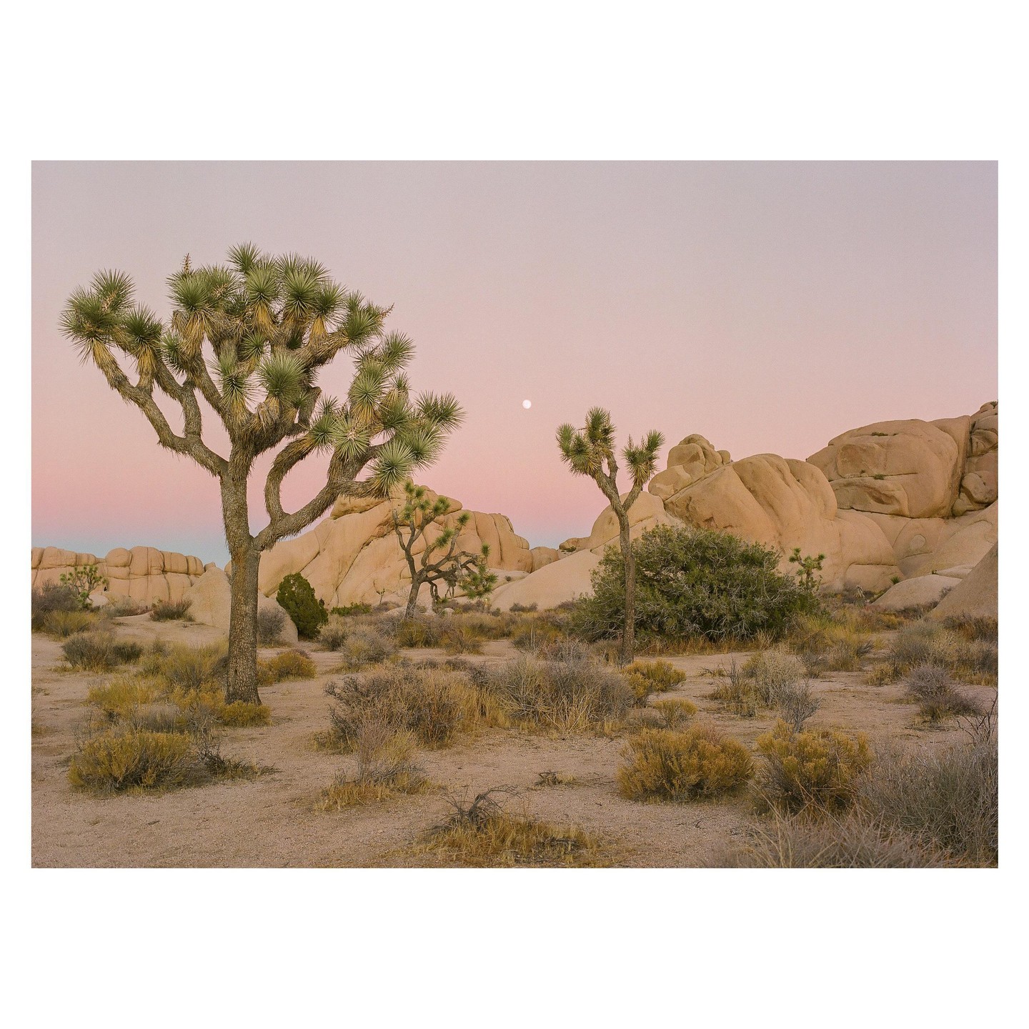 A desert landscape with Joshua trees and large rock formations is visible under a pink sky with a moon.