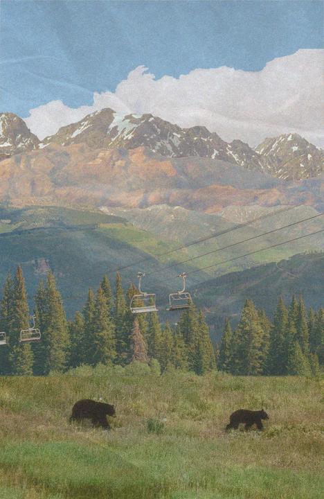 Two bears walk through a grassy field with pine trees, ski lifts, and mountains in the background.