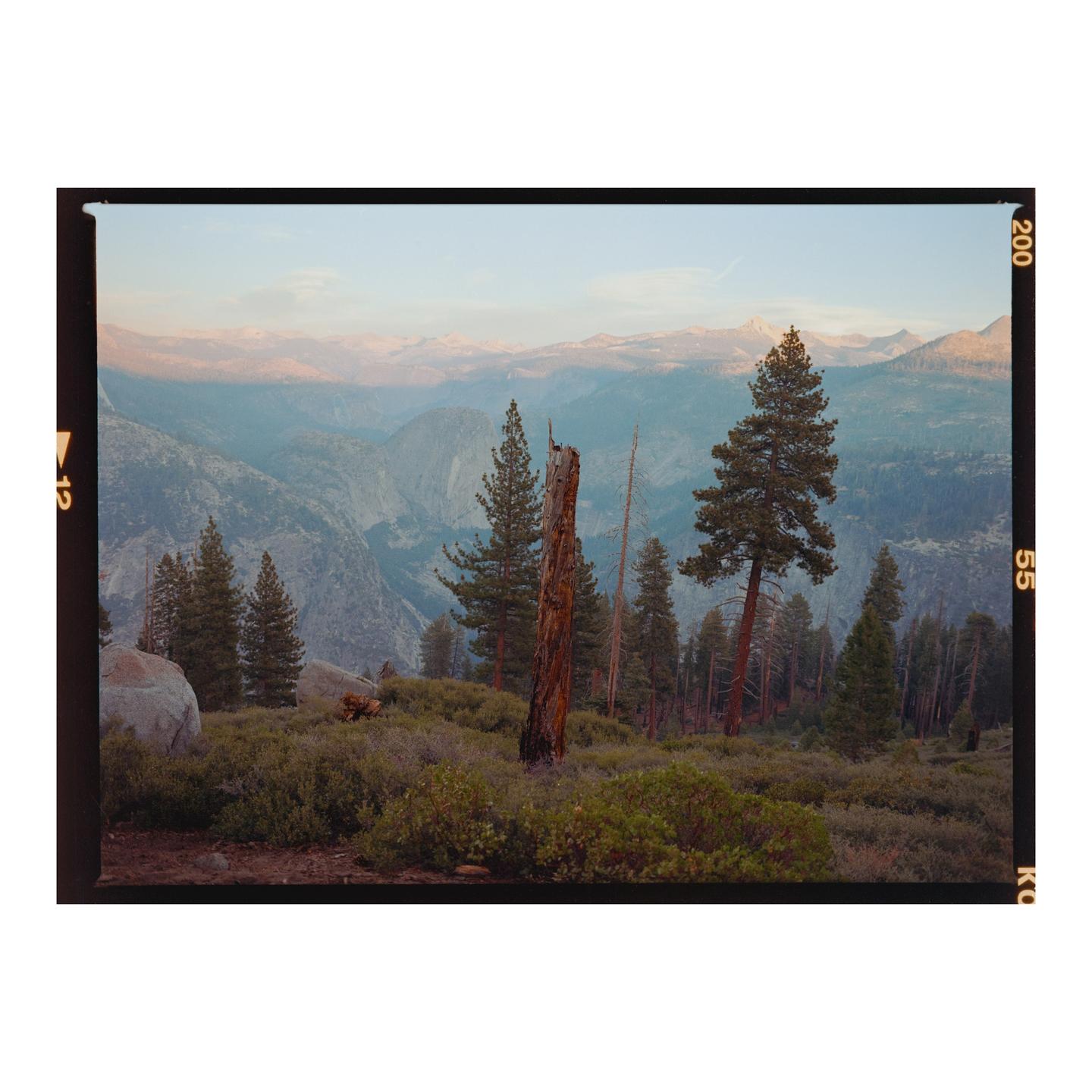 A mountain landscape with pine trees and a valley in the distance.