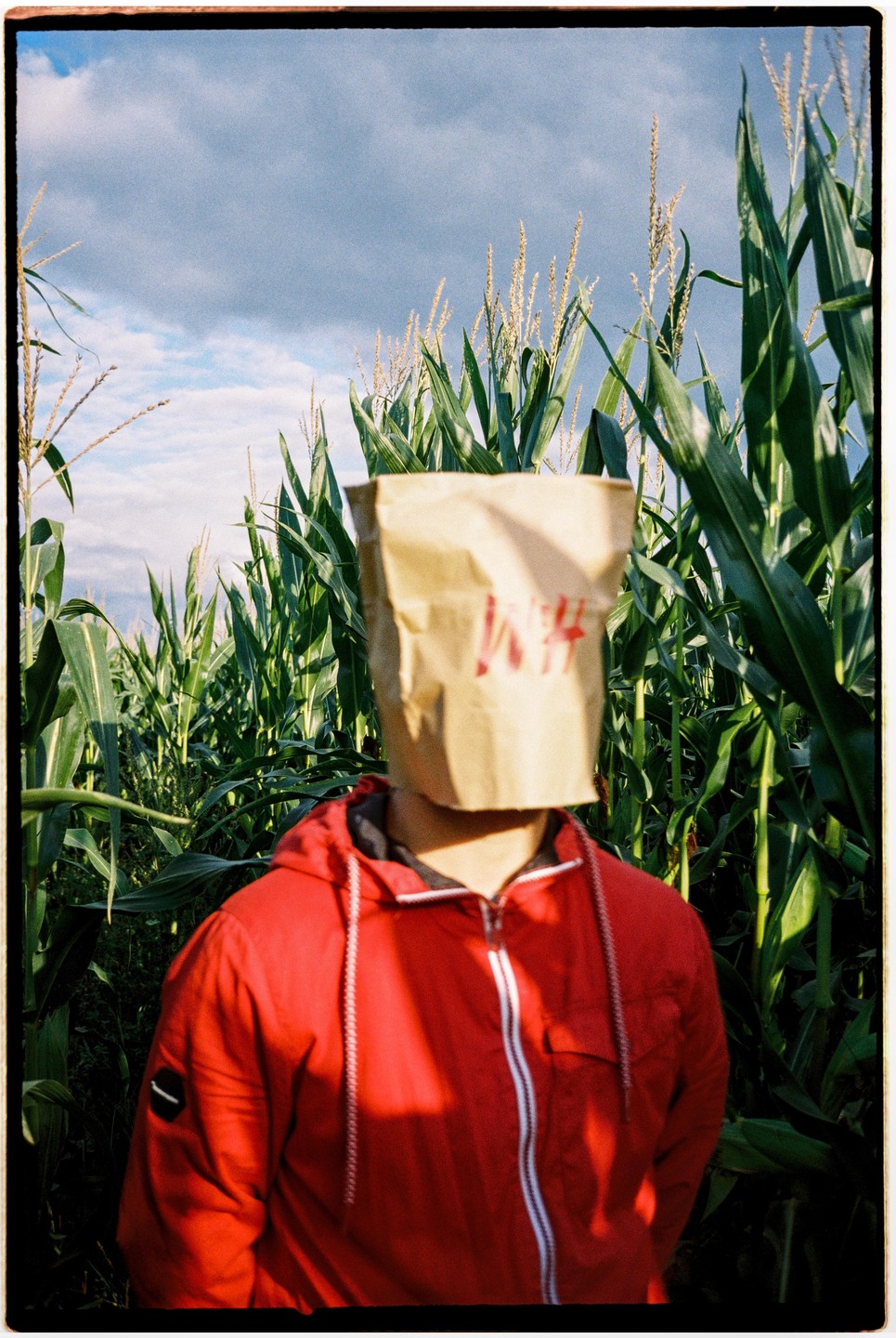A person wearing a red jacket and a paper bag over their head stands in a cornfield under a cloudy sky.