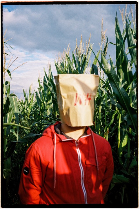 A person wearing a red jacket and a paper bag over their head stands in a cornfield under a cloudy sky.