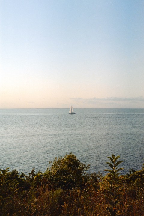 A sailboat is visible on the horizon of a large body of water, with green and brown foliage in the foreground.