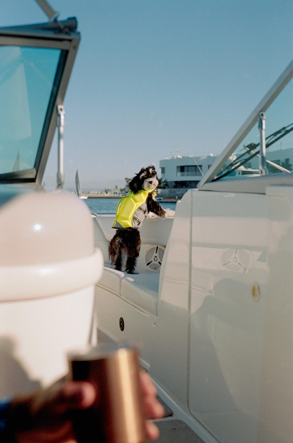 A small dog wearing a yellow life vest stands on a boat looking out at the water.