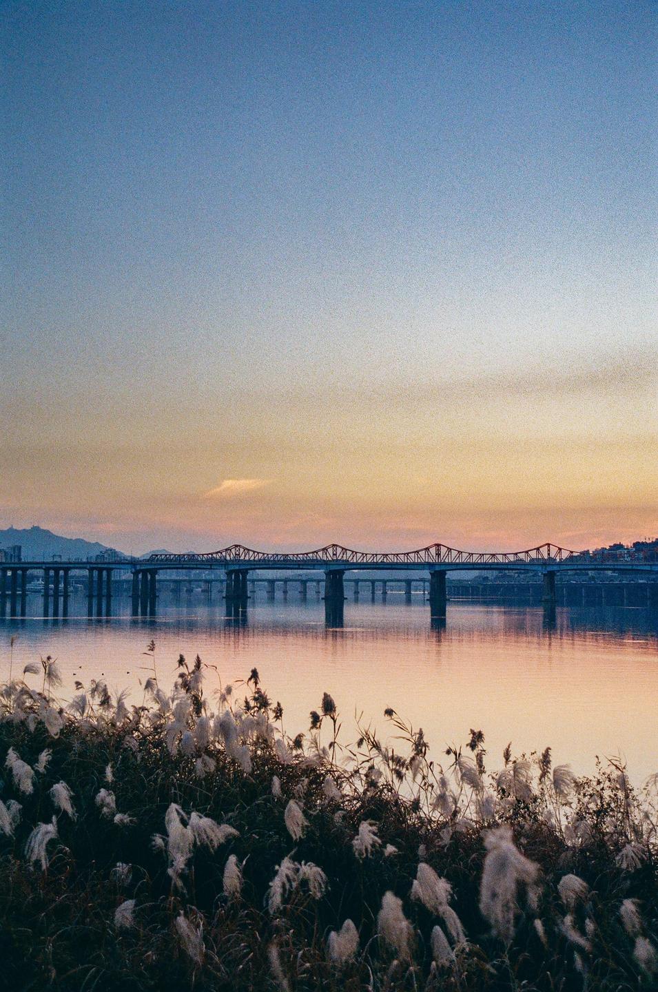 A bridge spans a body of water with tall grasses in the foreground under a colorful sky.