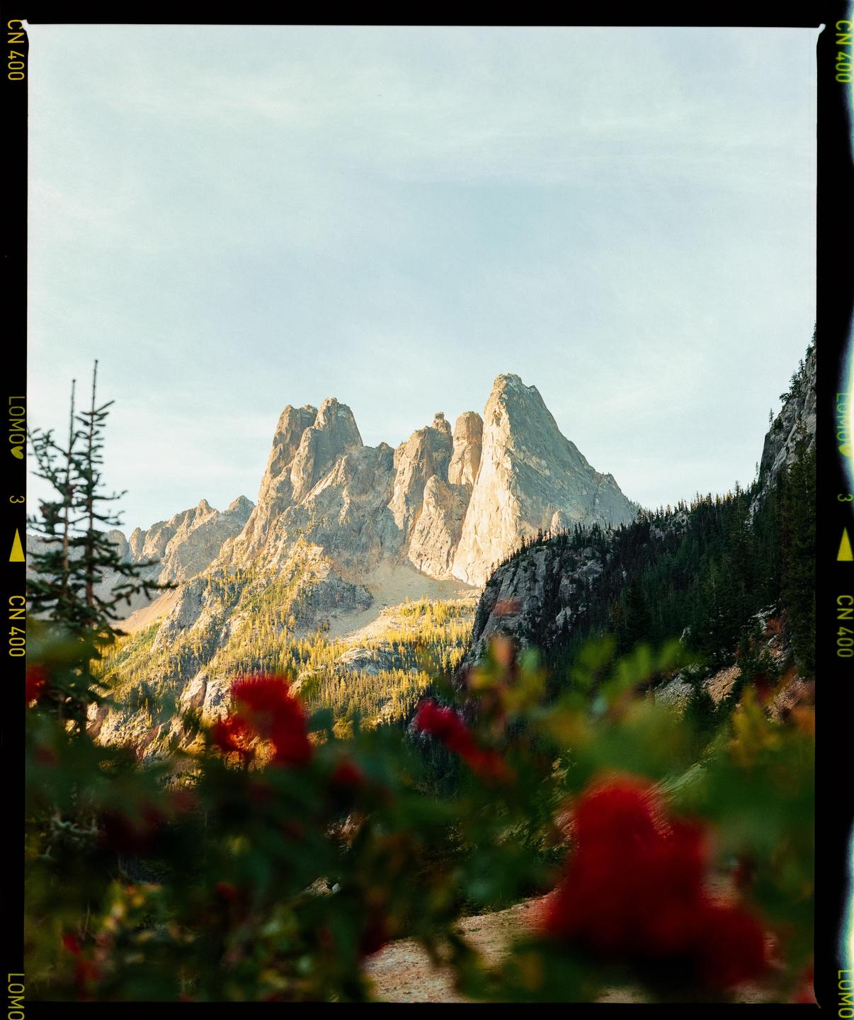 A mountain range with evergreen trees and red foliage in the foreground is illuminated by the sun.