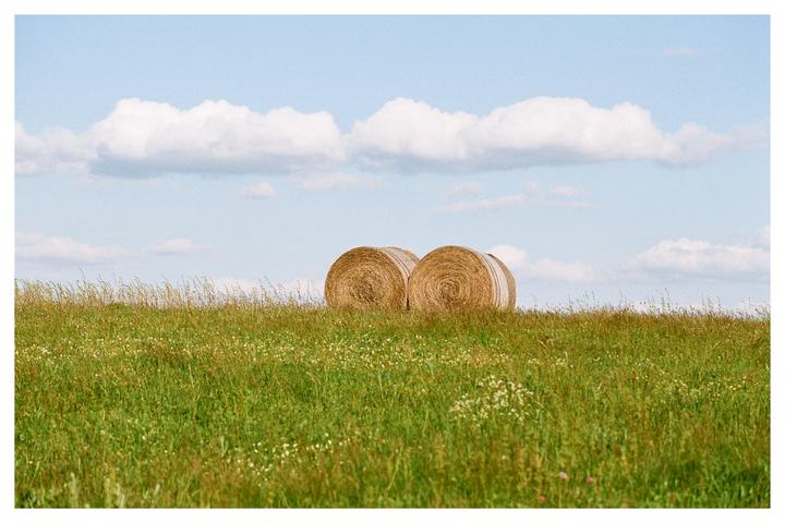 Two hay bales sit on a grassy hill under a blue sky with fluffy clouds.