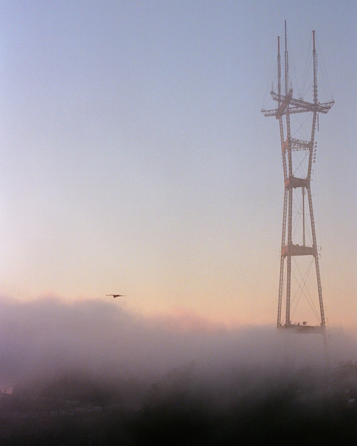 A bird flies through the fog past the Sutro Tower at dusk.