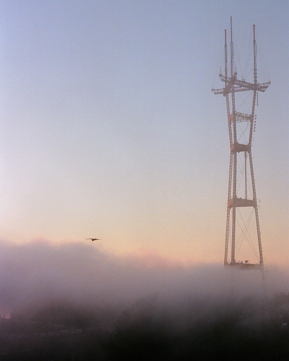 A bird flies through the fog past the Sutro Tower at dusk.