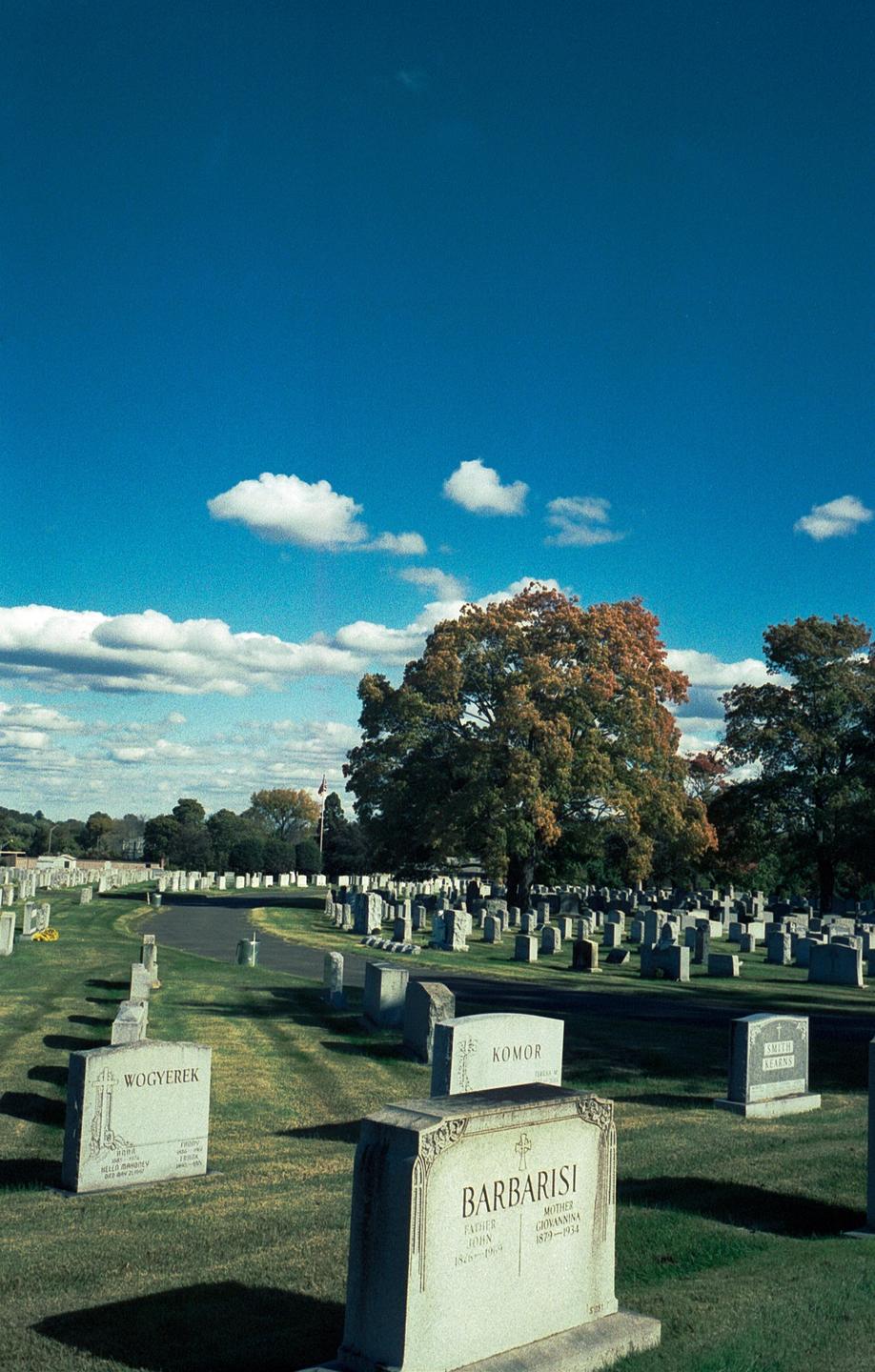 A cemetery with numerous gravestones and a large tree with autumn foliage is visible under a bright blue sky with scattered clouds.
