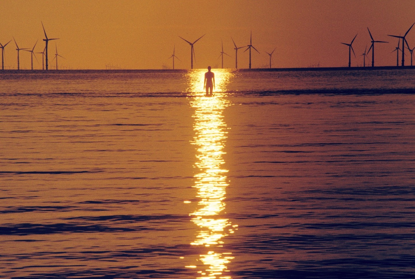 A lone figure stands in the water with a line of wind turbines on the horizon under a golden sky.