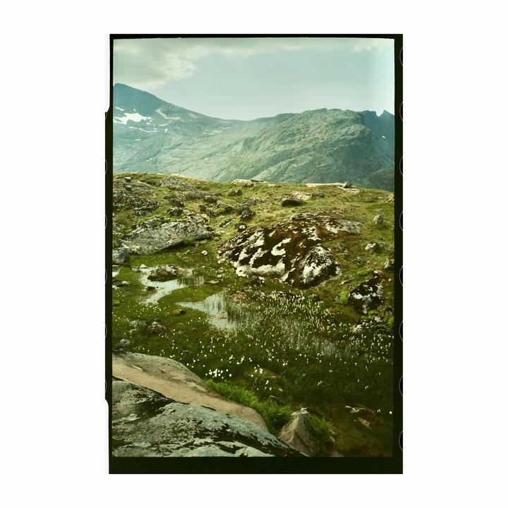 A rocky, mossy landscape with small pools of water and white flowers leads to a large mountain range under a cloudy sky.