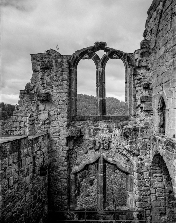 A stone statue stands on a wall overlooking the ruins of a cloister with arched windows revealing a forest and hills in the distance.