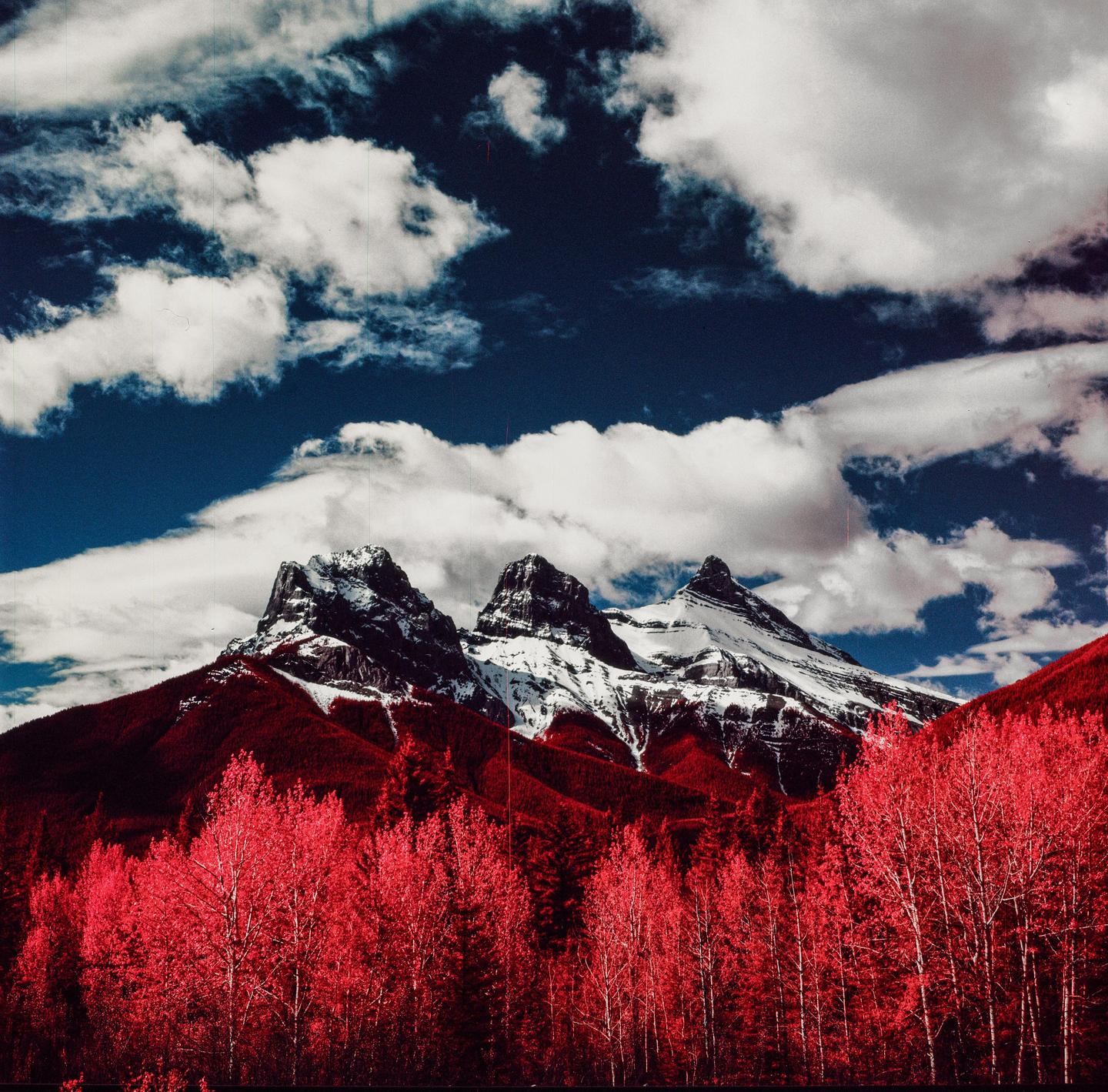 A mountain range with snow-capped peaks rises above a forest of red trees under a blue sky with white clouds.