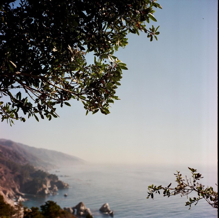 A tree branch frames a hazy view of the ocean and a distant coastline.
