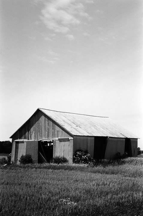 A large barn with an open door stands in a field of tall grass under a bright sky.