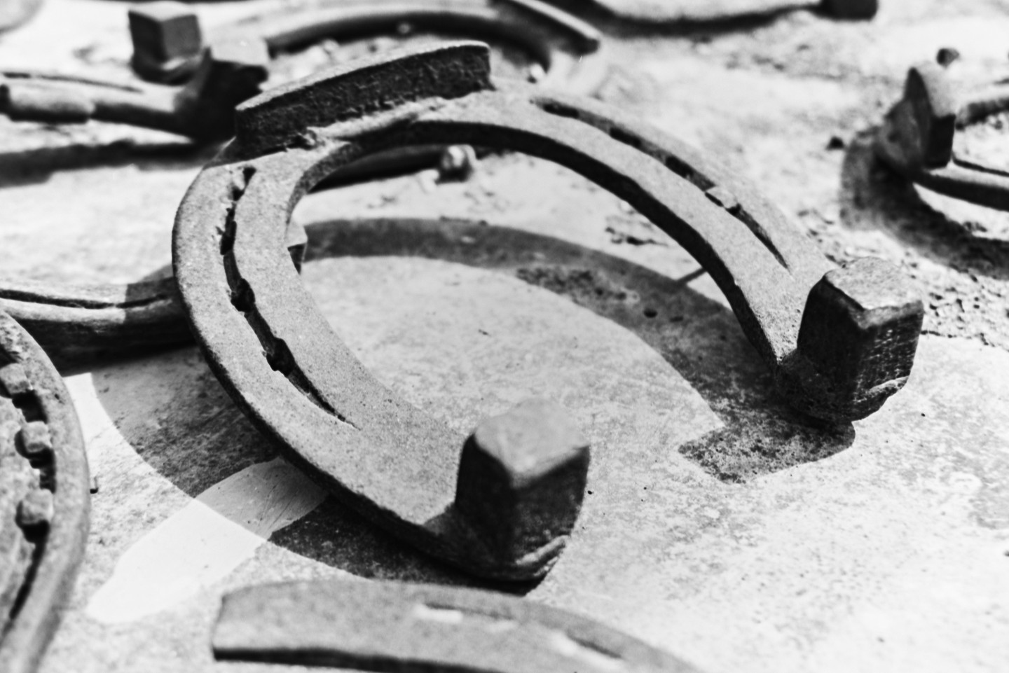 A close-up, high-angle view shows a horseshoe resting on a textured surface, with other horseshoes blurred in the background.