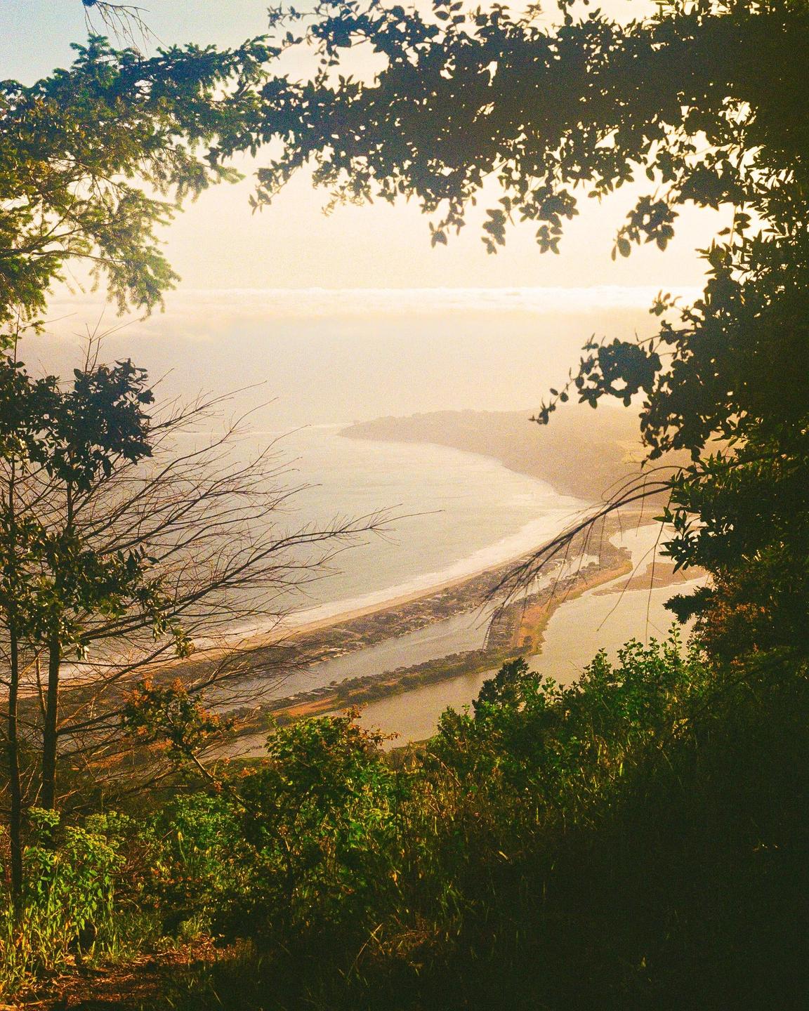 A golden hour landscape shows a bay and a river from a high vantage point, framed by trees.