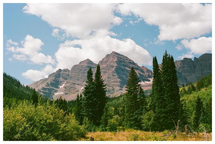 A mountain range with patches of snow is visible behind a forest of pine trees and green bushes under a blue sky with white clouds.