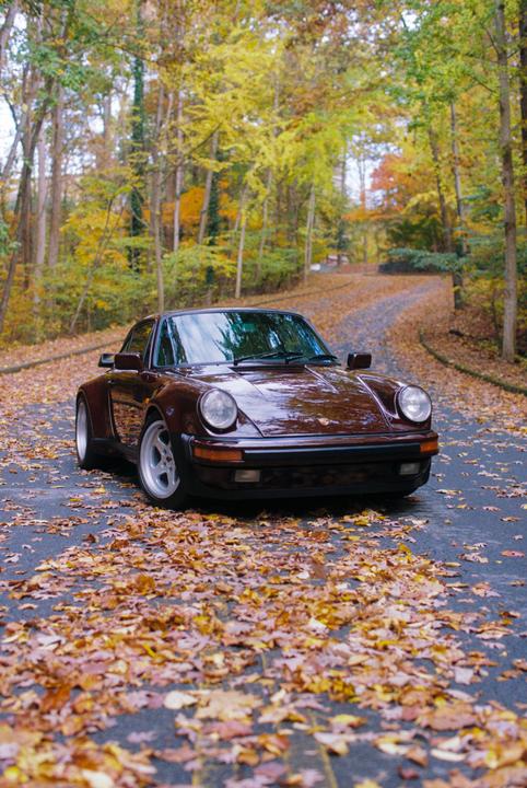 A brown car is parked on an asphalt road covered with autumn leaves, surrounded by trees with colorful foliage.