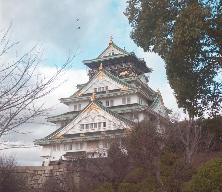 A large, multi-tiered Japanese castle with green roofs and golden accents stands on a stone wall, surrounded by trees with some bare branches.
