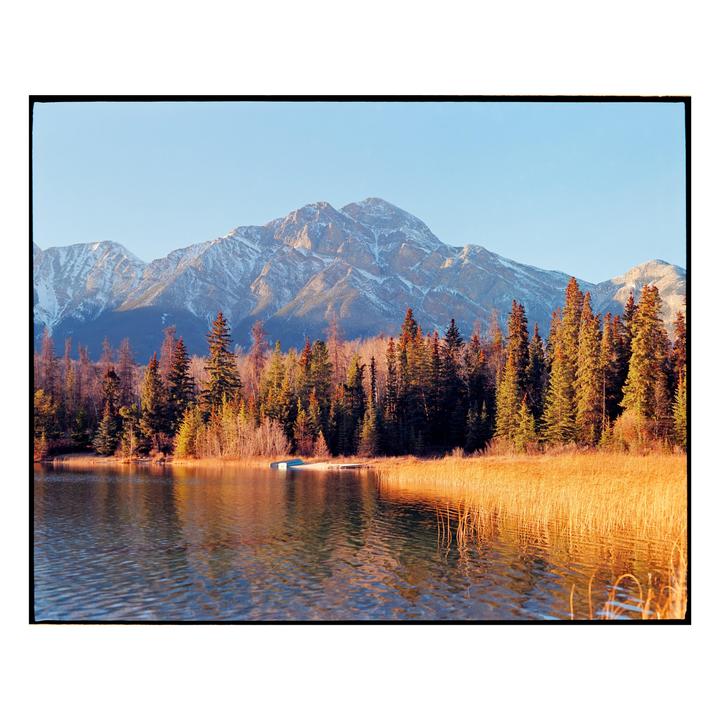 A lake with golden reeds and a forest is in the foreground, with snow-capped mountains under a clear sky in the background.