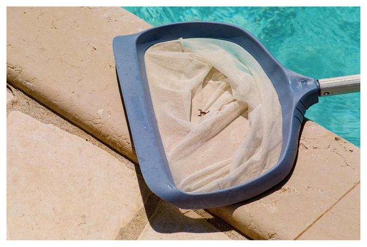 A pool skimmer with a scorpion in its net rests on the edge of a swimming pool.
