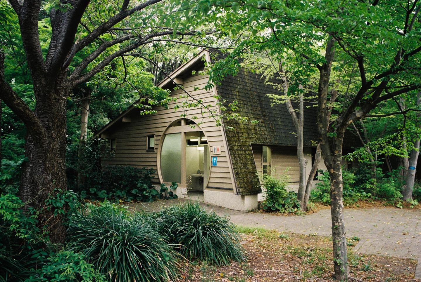 A unique A-frame building with a circular window and entrance is nestled among lush green trees.